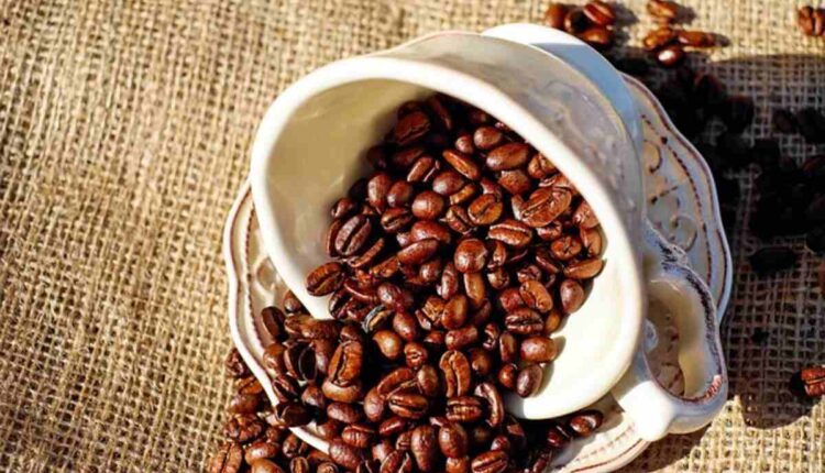 Coffee bean Ultimate 10