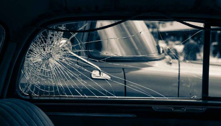 los gatos auto glass