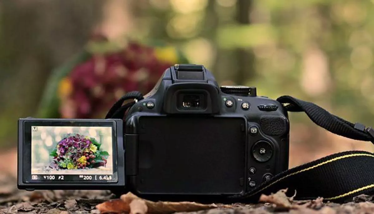 DxO Photo Lab – Precisely how Photo Editing Software Will help Your Digital Photography