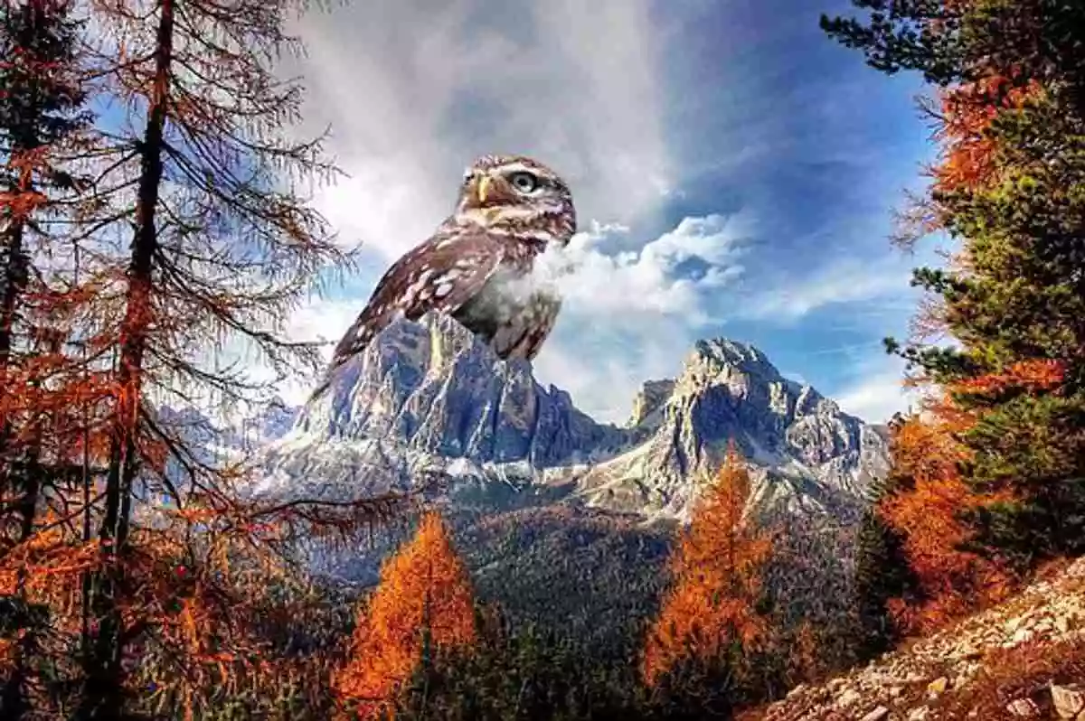 Gimp Photo Editing Software – Getting Free Digital Photography Software