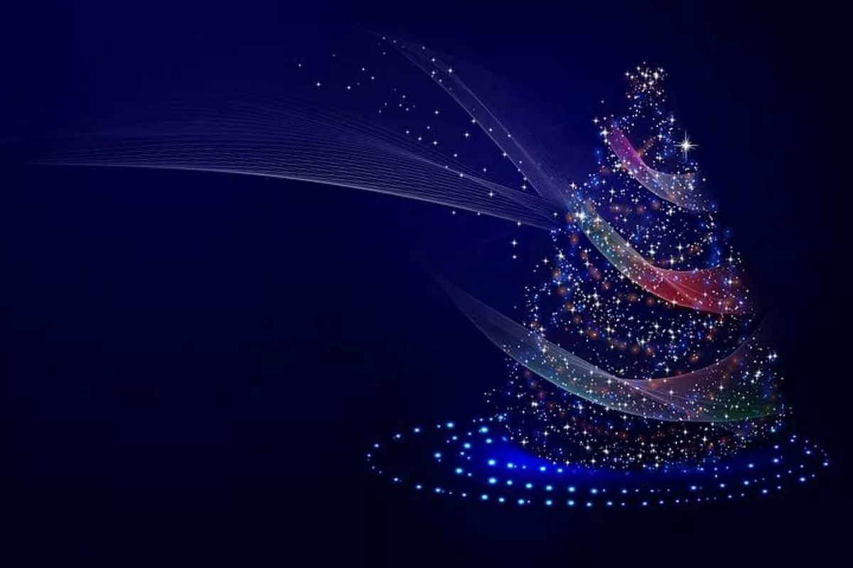 Christmas Light Installers