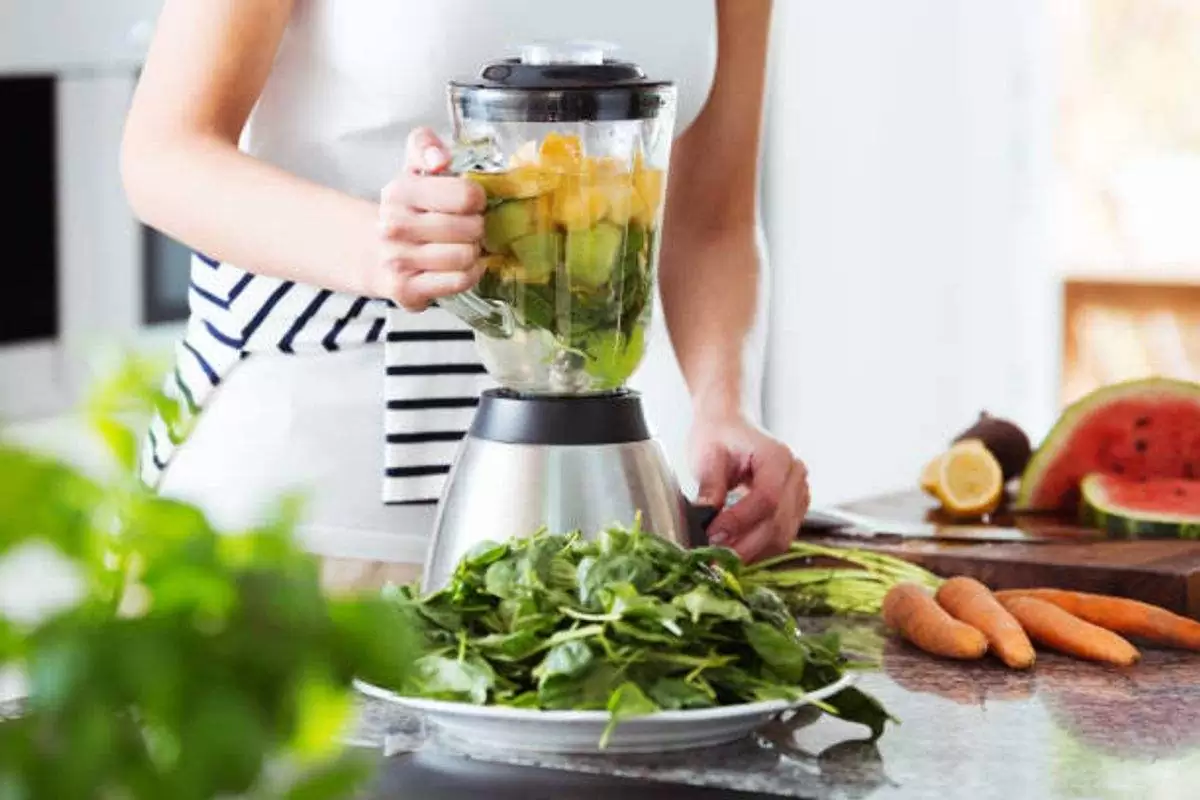 Vitamix E310 Review