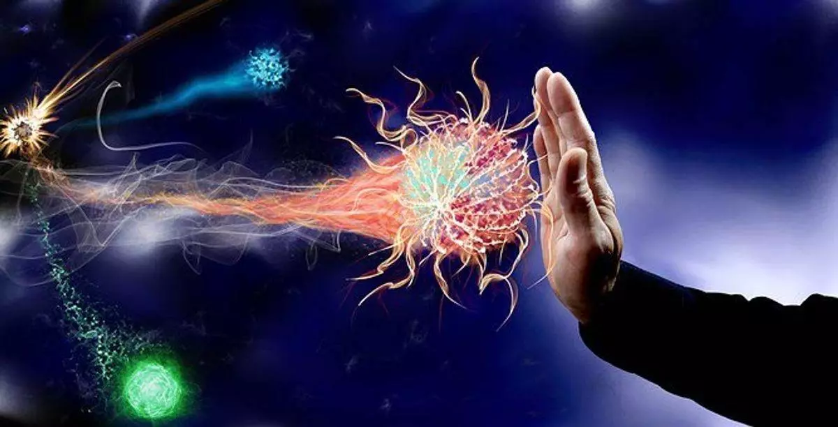 A Healthy Immune System