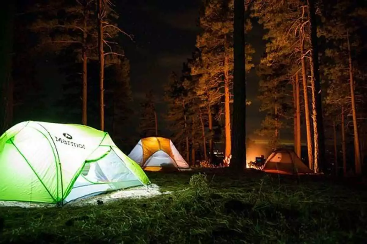 Camping Trip