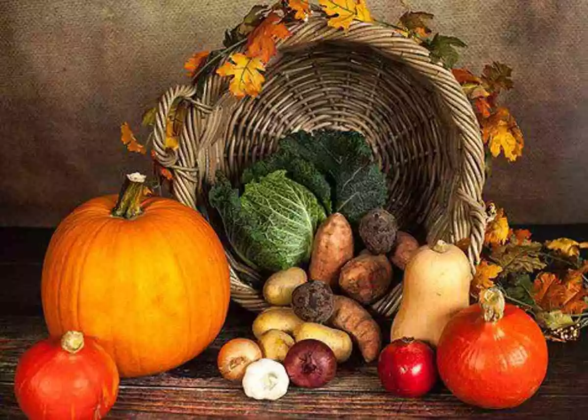 Healthful Nutrition – Why is it Tough Lose Weight?
