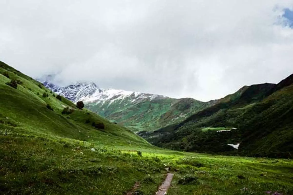 Infrared Vs Incandescent Trail Digital cameras – Which is Better?