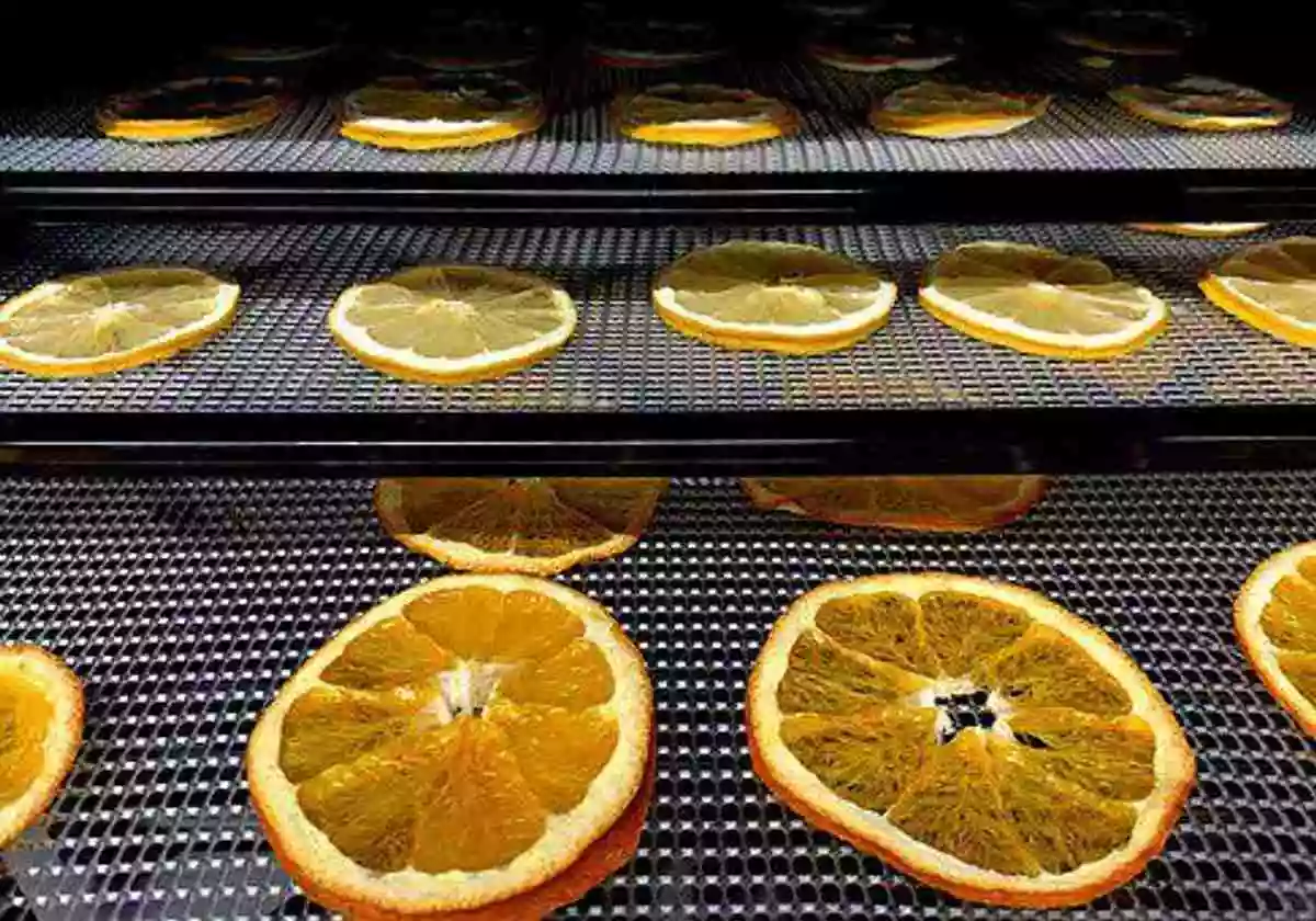 Buying a Food Dehydrator