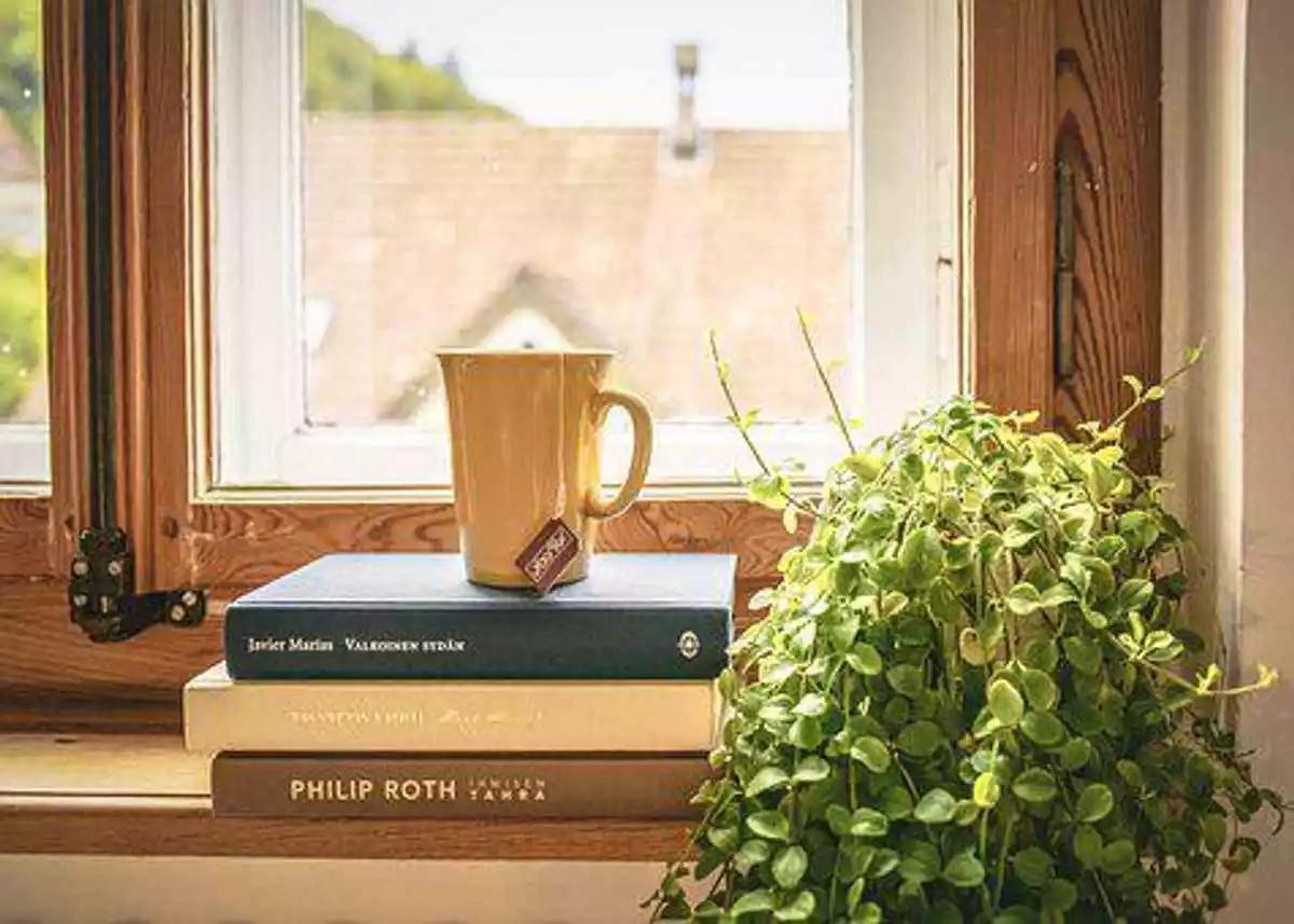 Include Value to Your Home With Two times Glazing
