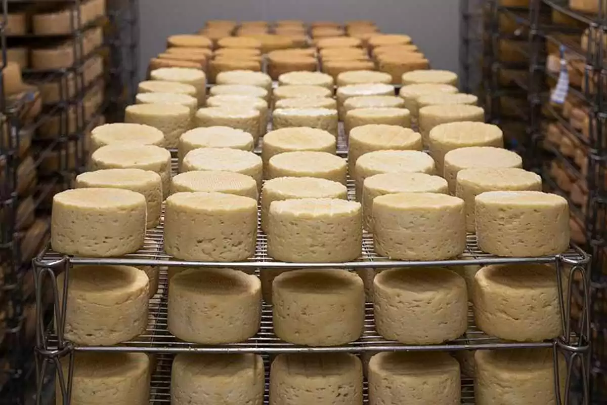 Food Manufacturer's