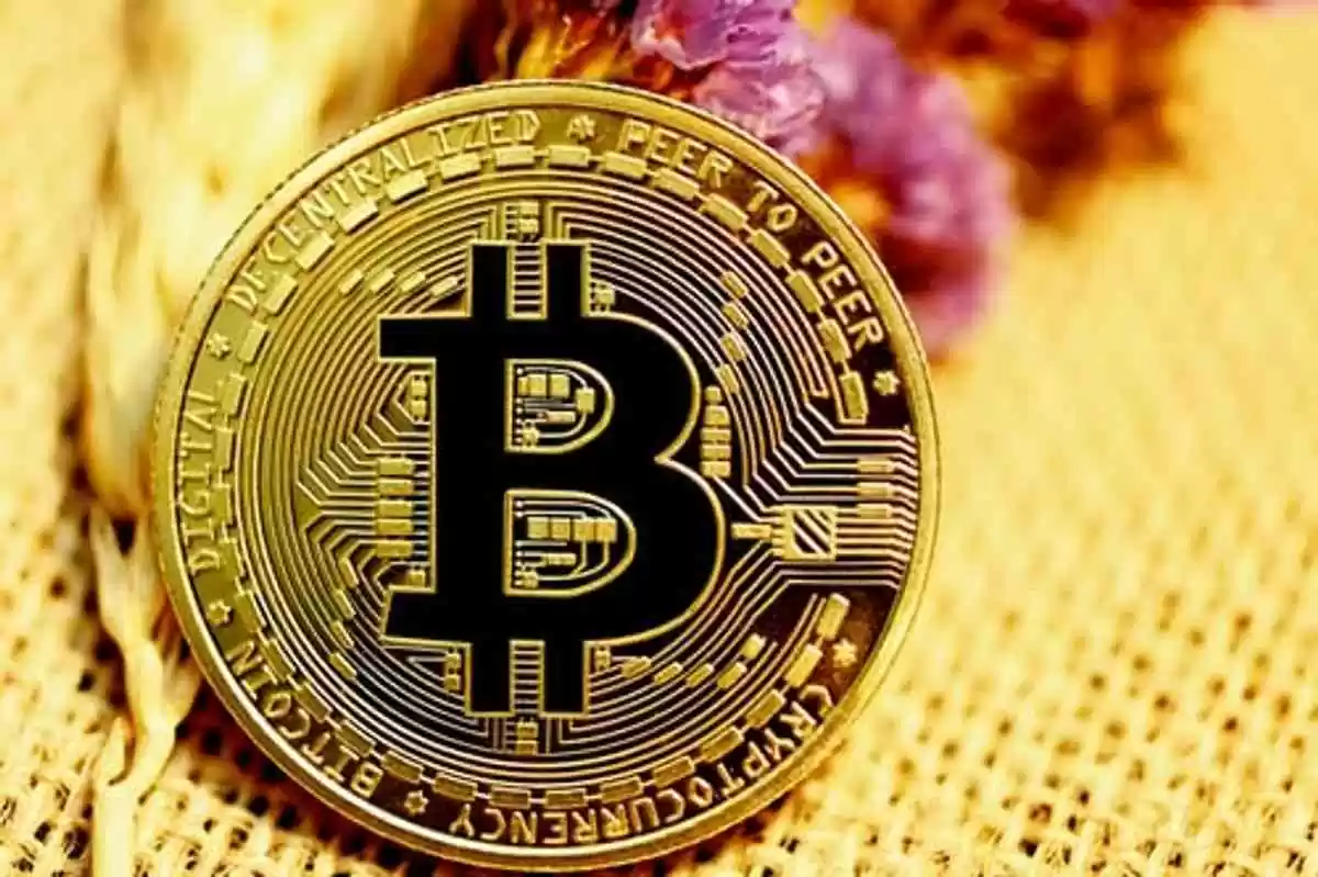 Recover lost bitcoin wallet
