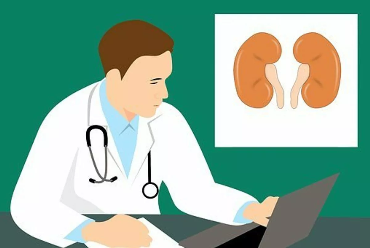 The Proper Care of Your Kidneys