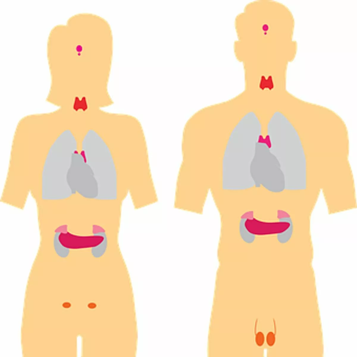 What Are the Symptoms of Thyroiditis