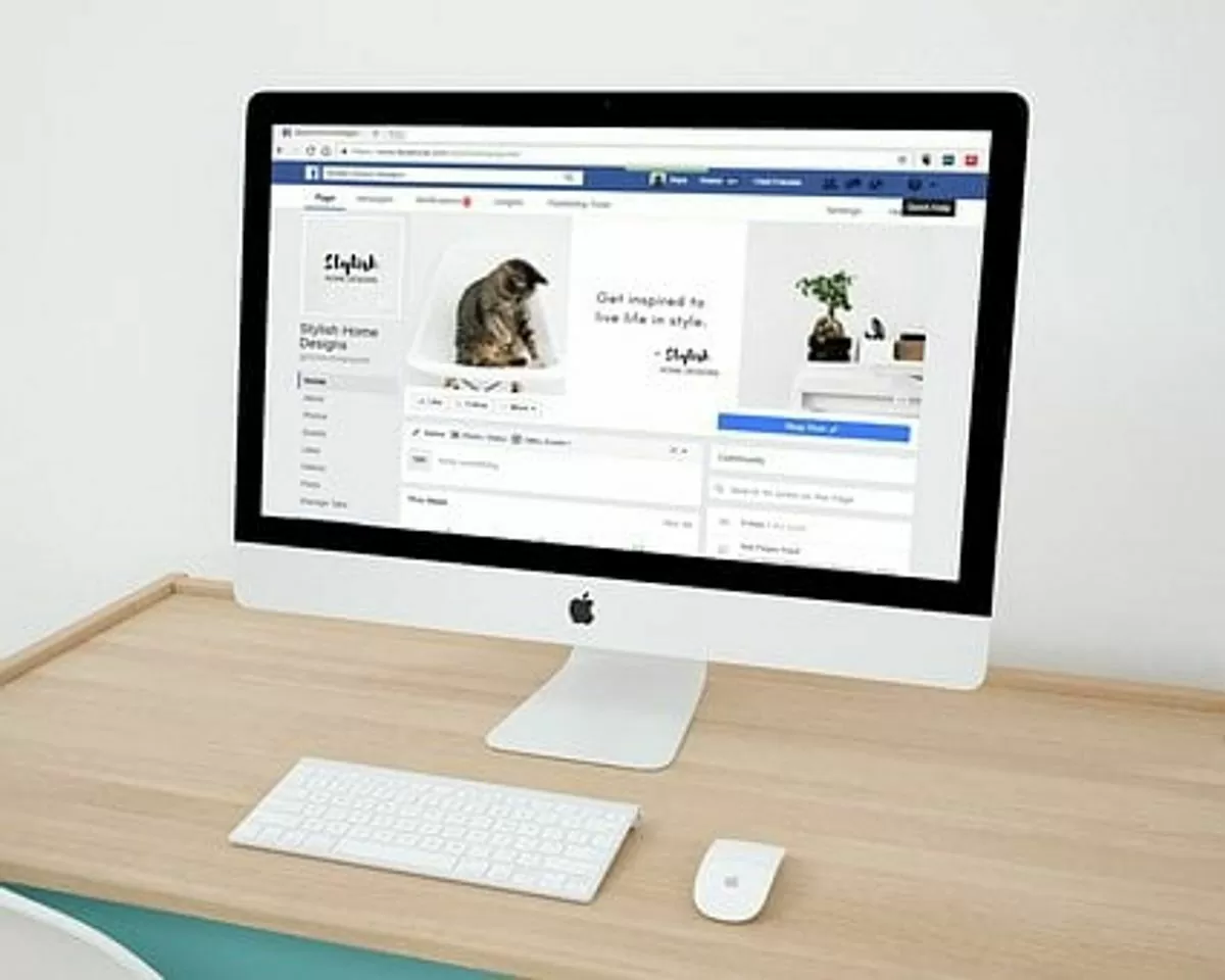 Your Small Business Website is Up