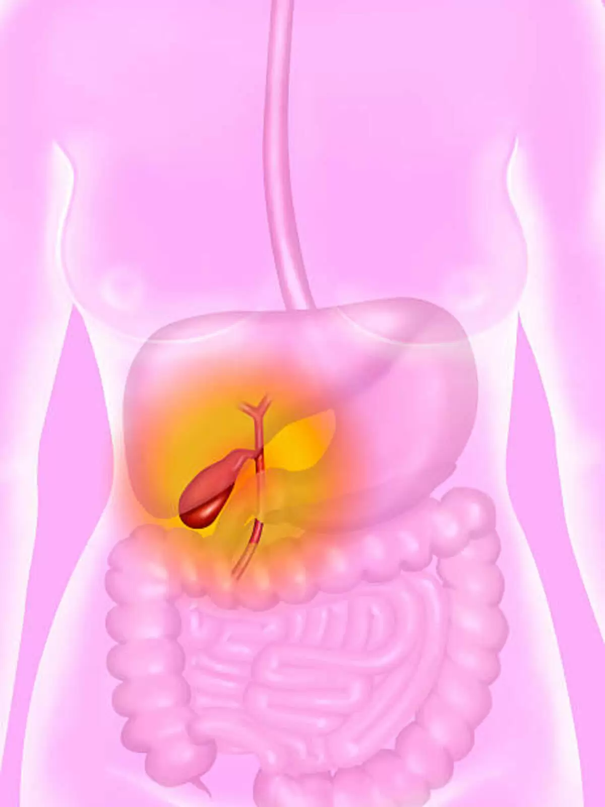 gallbladder pain