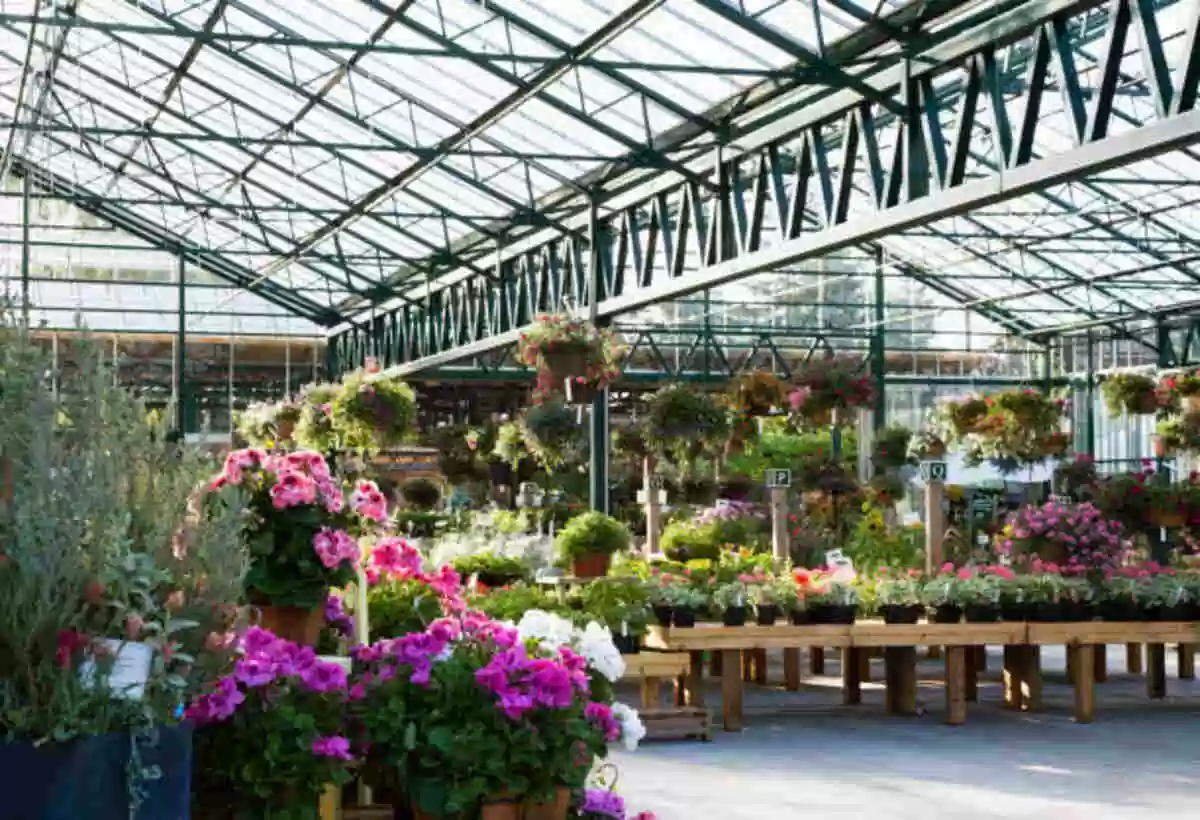 What to Expect From a Garden Center