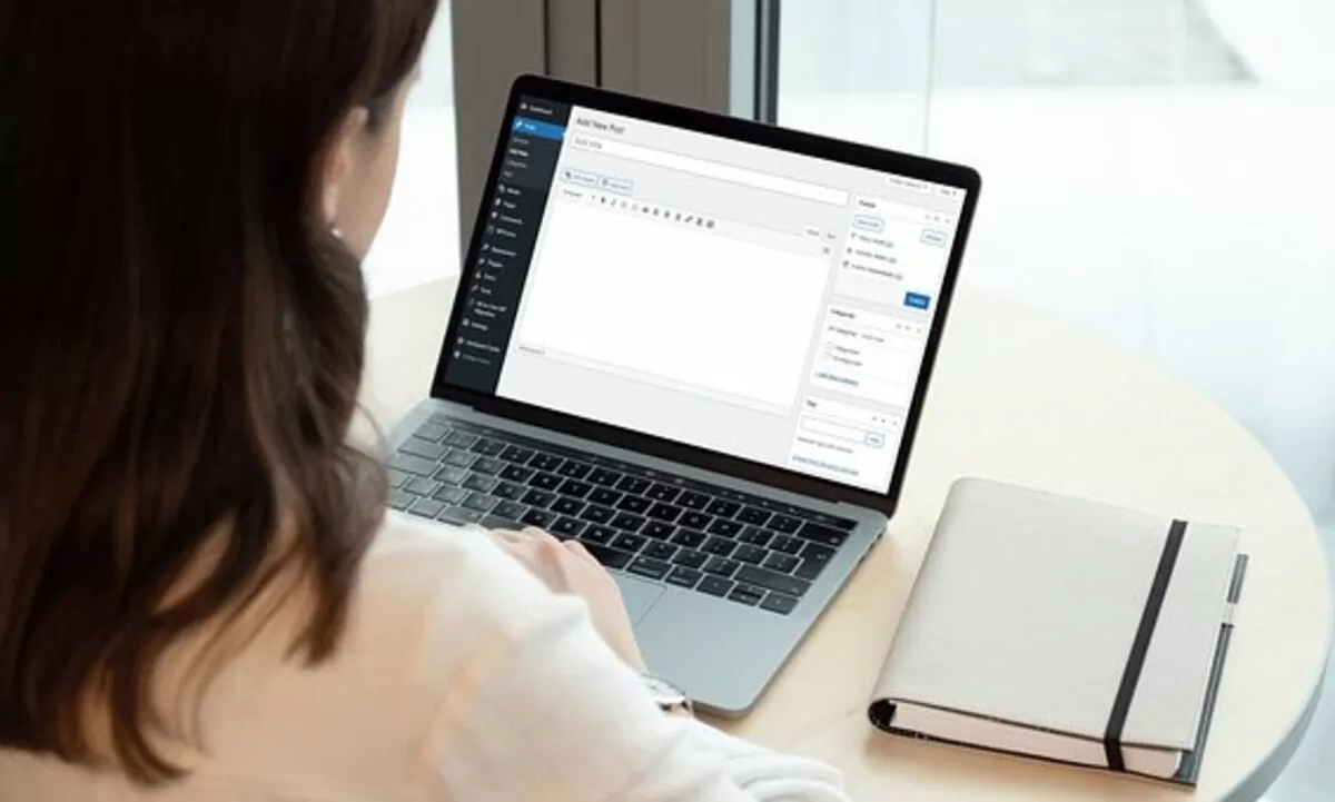 what is article