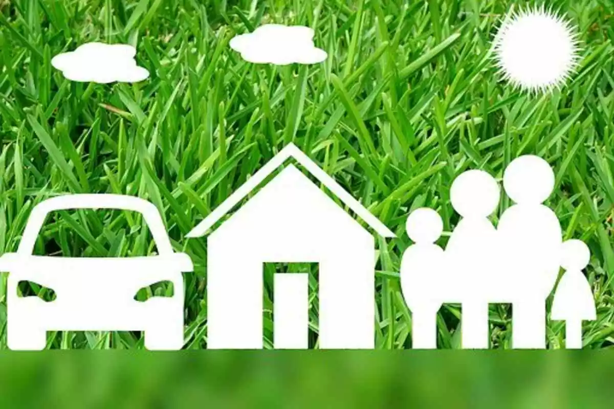 American Collectors Insurance Reviews