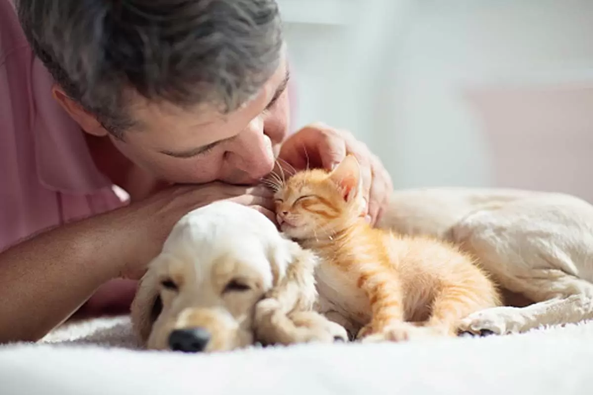 Choosing the Right Pet