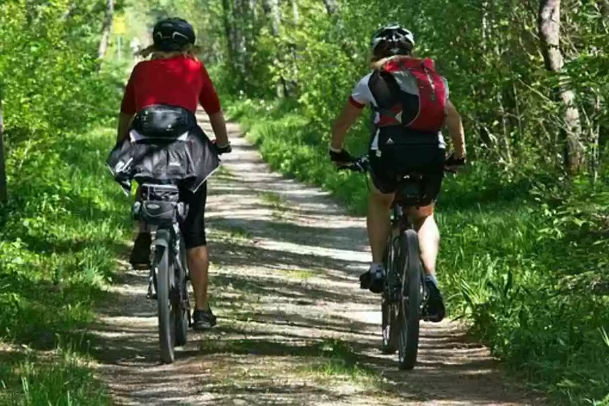 Cycology Clothing Reviews