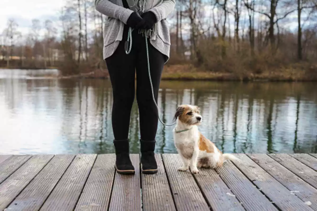 Uniqlo Leggings Review