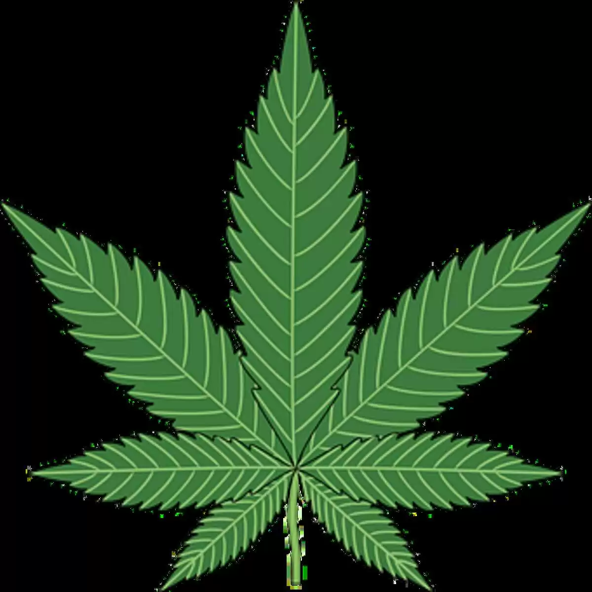 Weed Shop in New Zealand