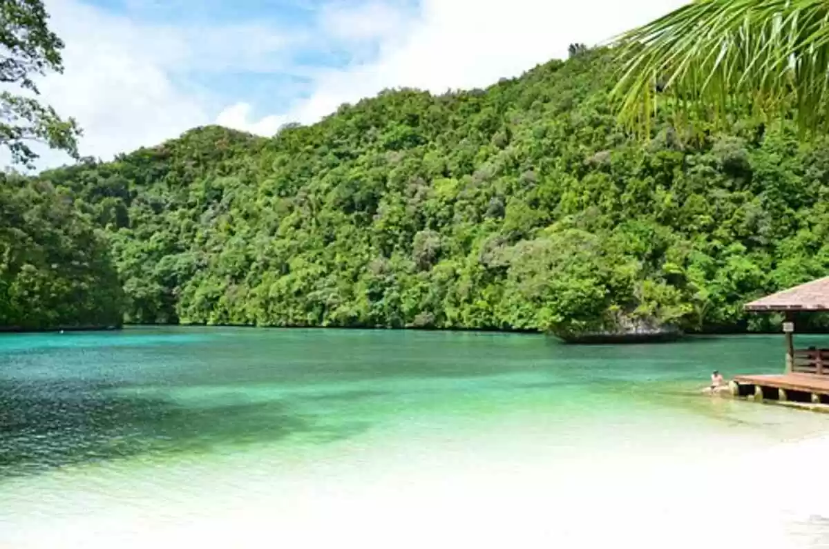 Odyssey Travel Reviews