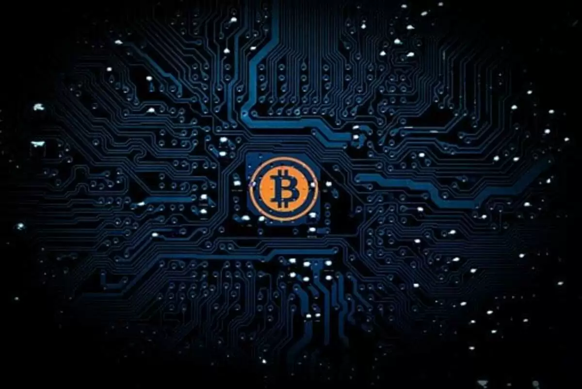 Payback Ltd review