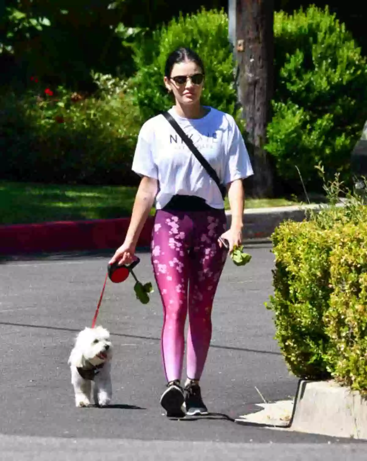 Pink Soda Leggings Review