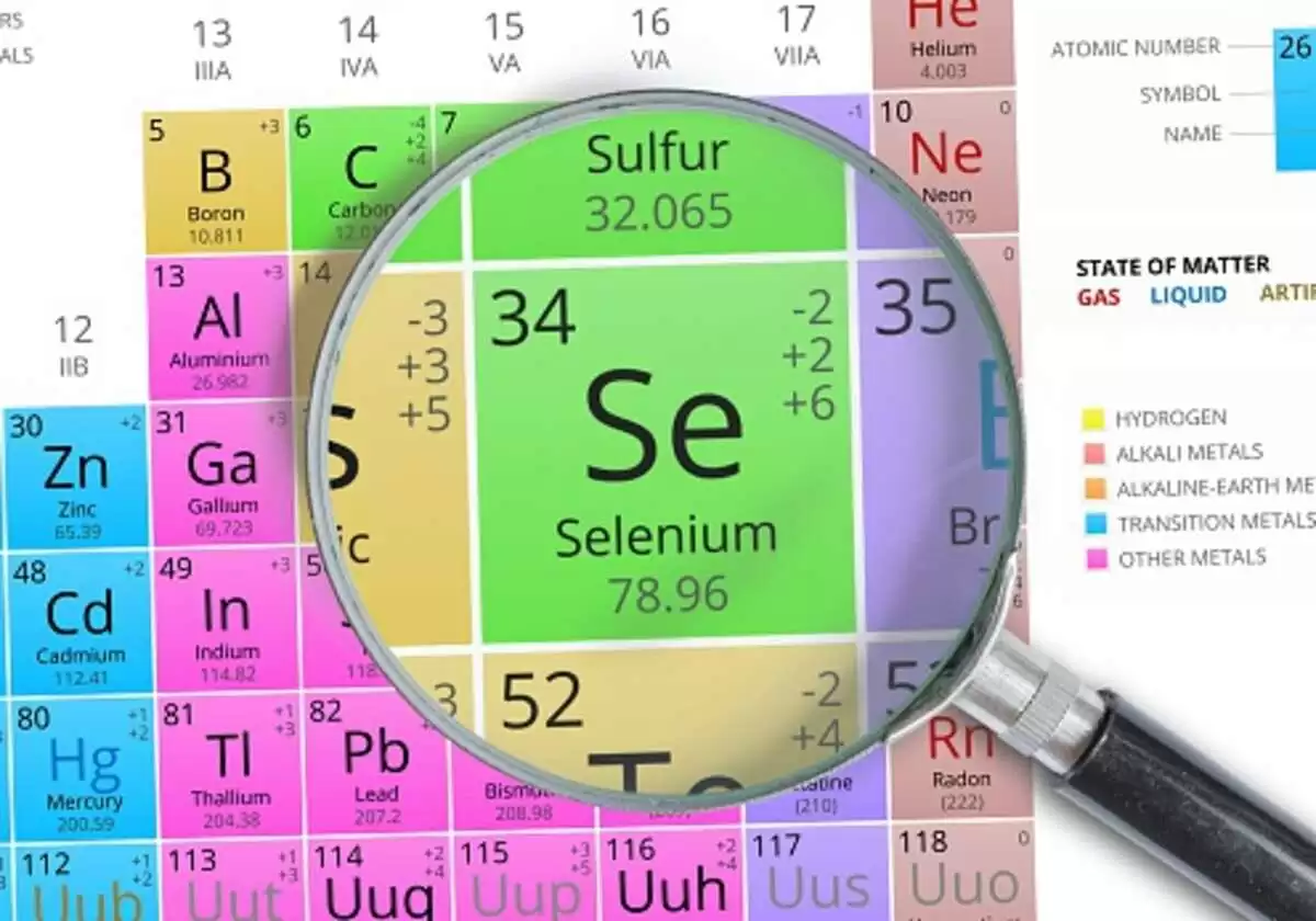 selenium webdriver tutorial