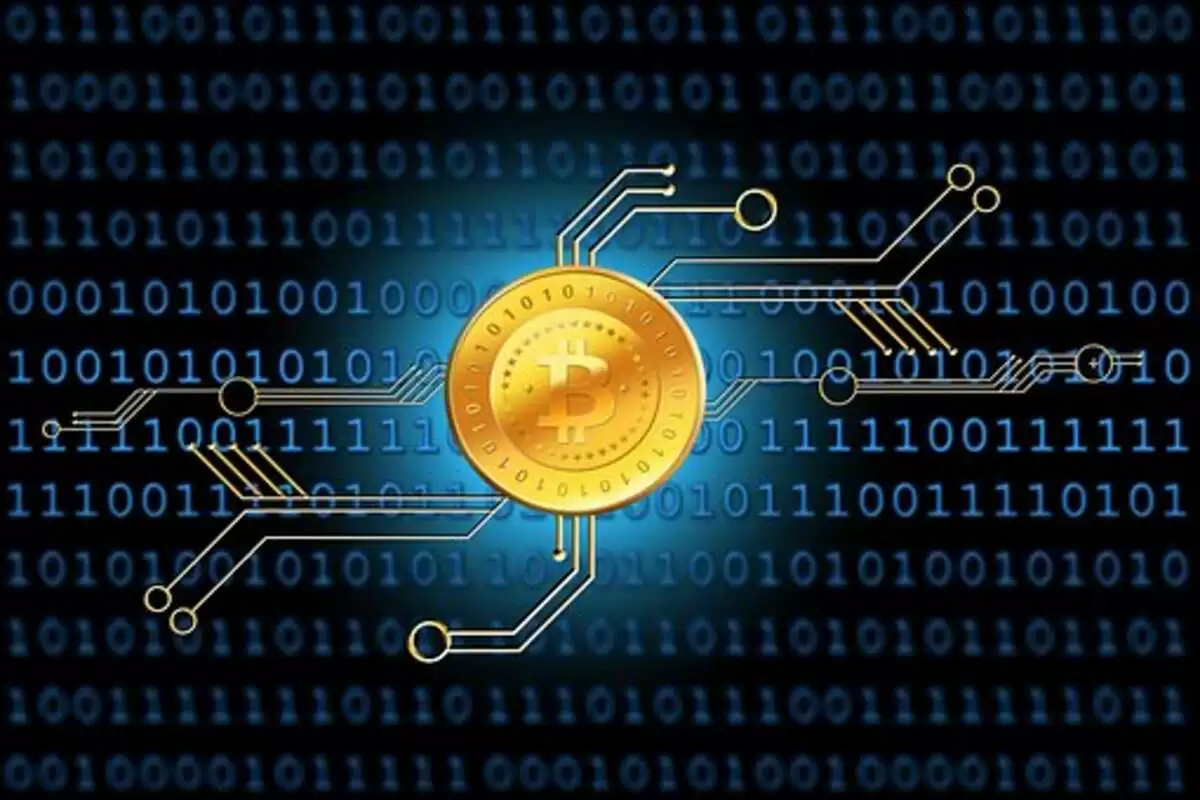 Crypto1capital