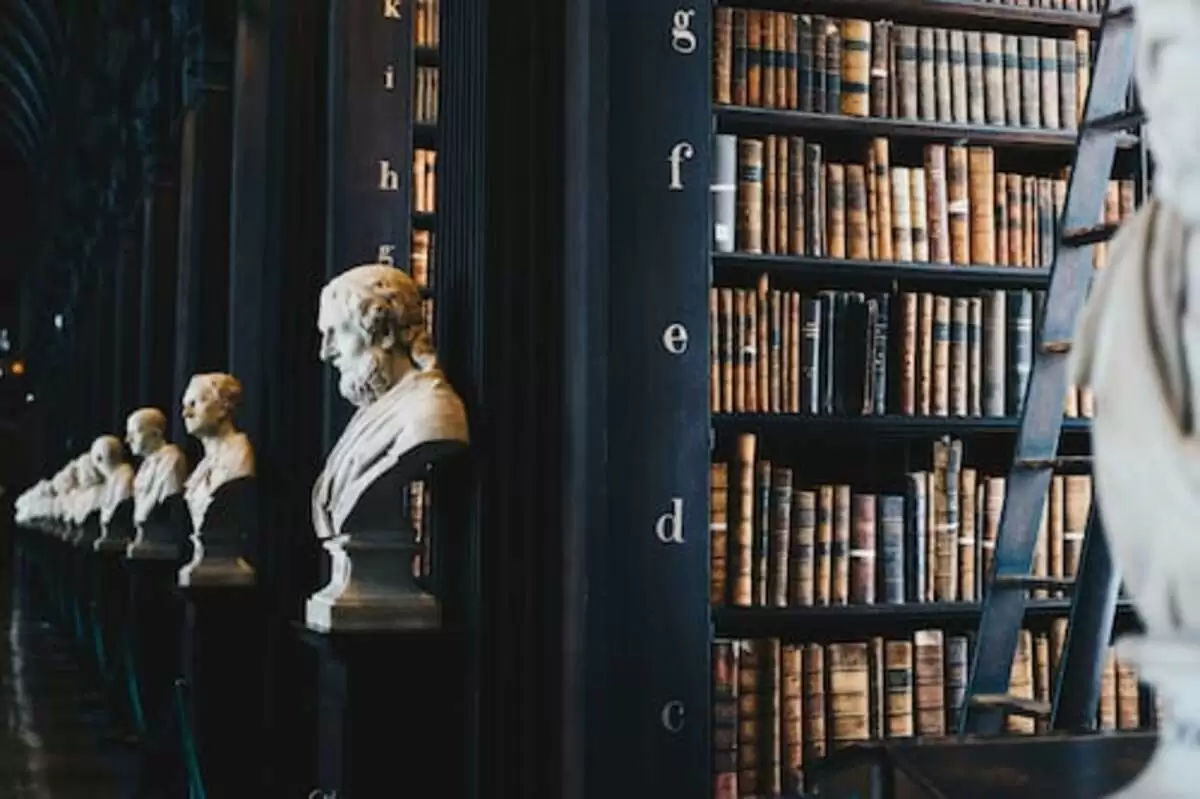 Law Advice: 7 Best Techniques for Obtaining Advice on Your Rights
