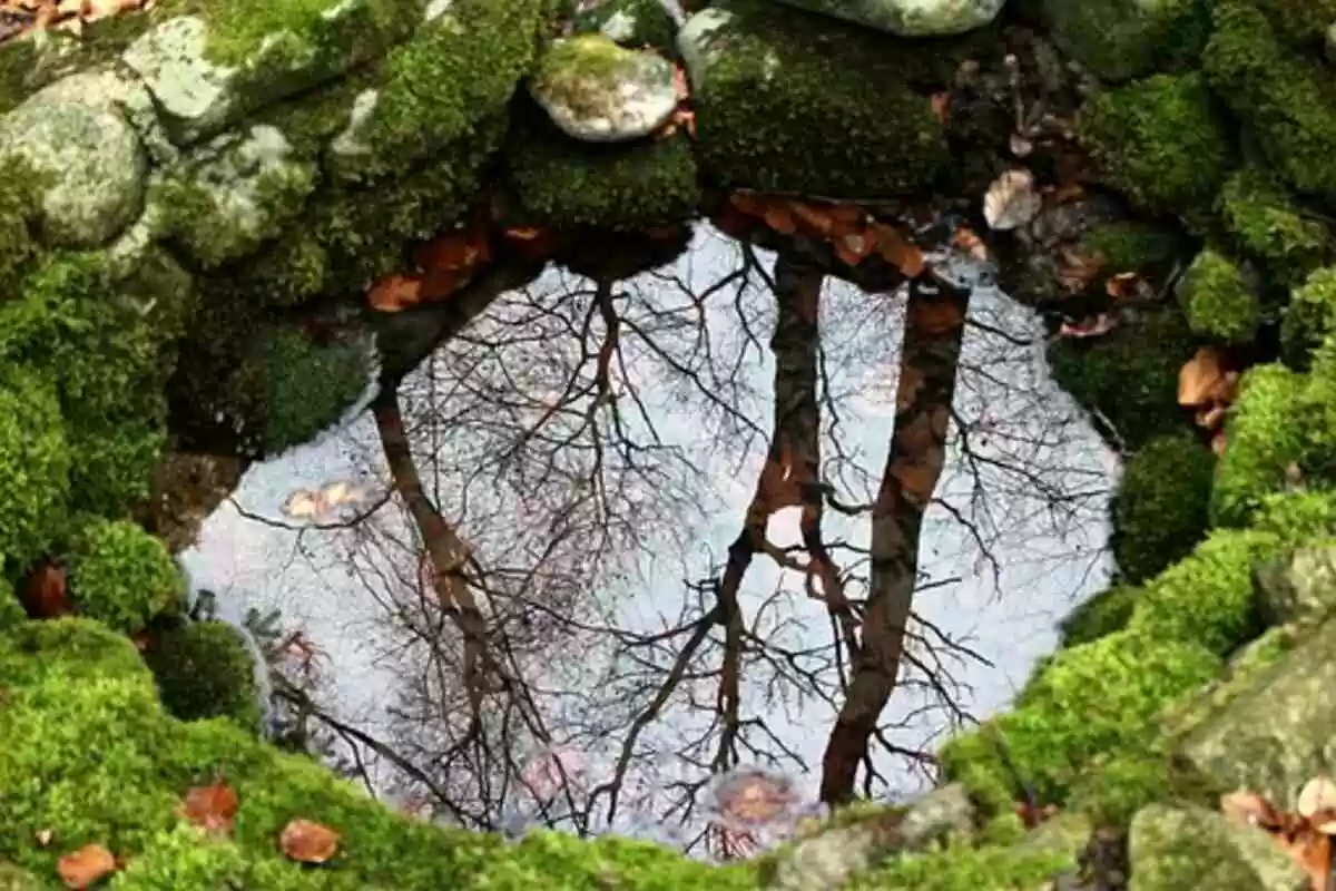 macrium reflect free