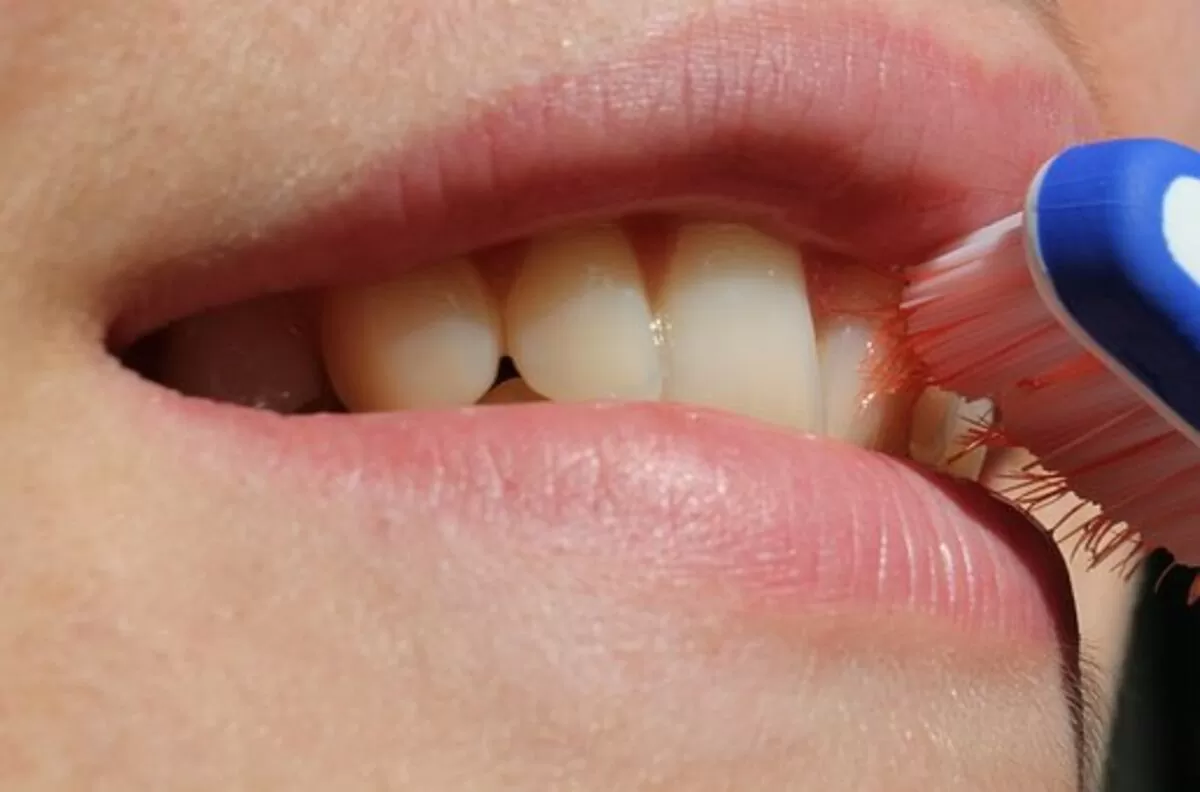 metlife dental insurance reviews