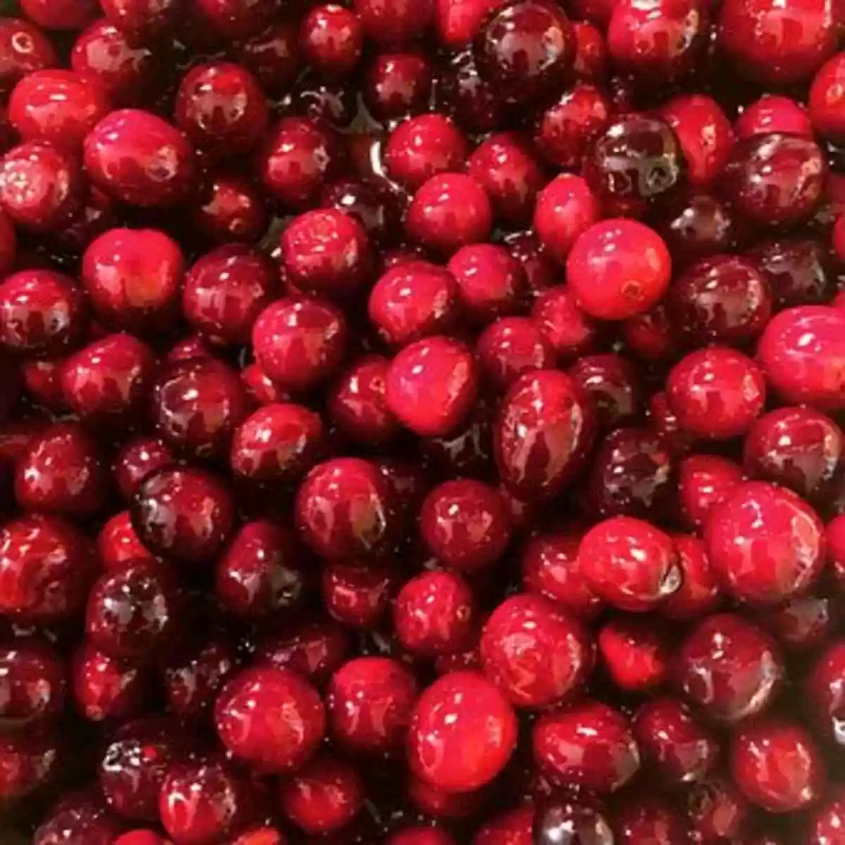 cranberry sauce