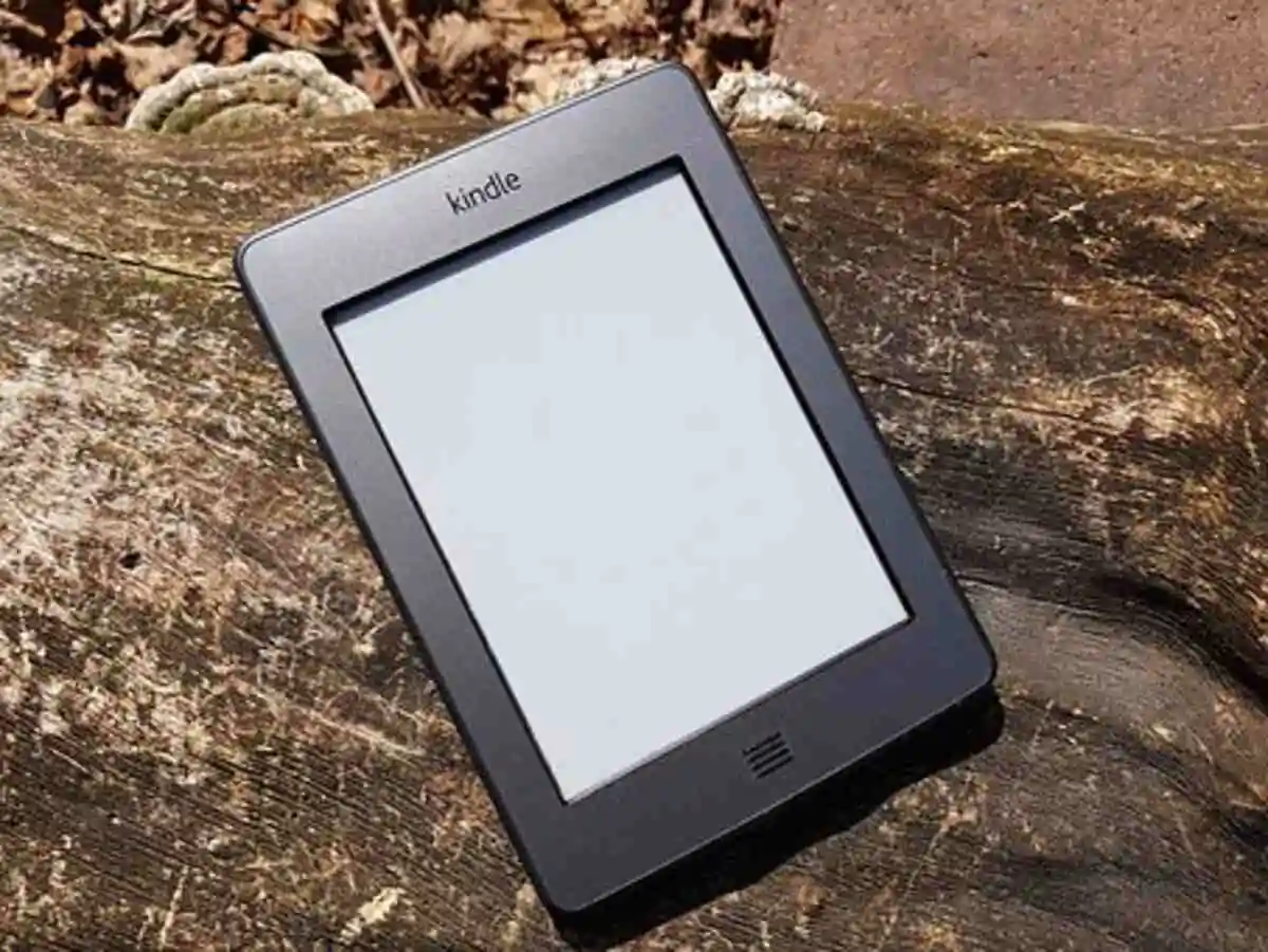 5 Best Books To Bring On Your Amazon Vacation