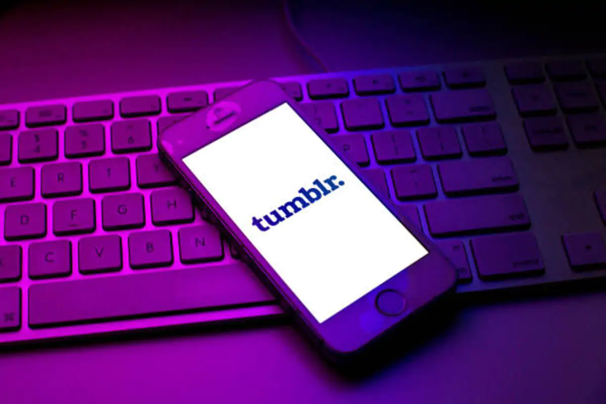 Tumblr Bot Download, Tumblr Account Creator, Tumblr Poster