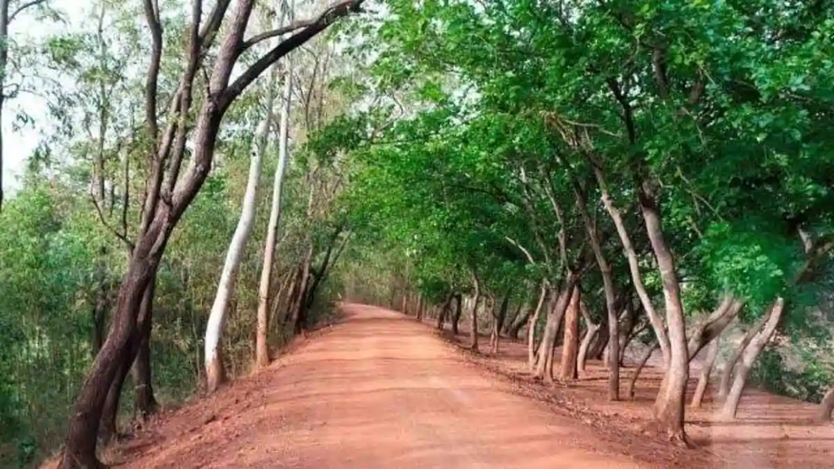 Best places to visit in Shantiniketan