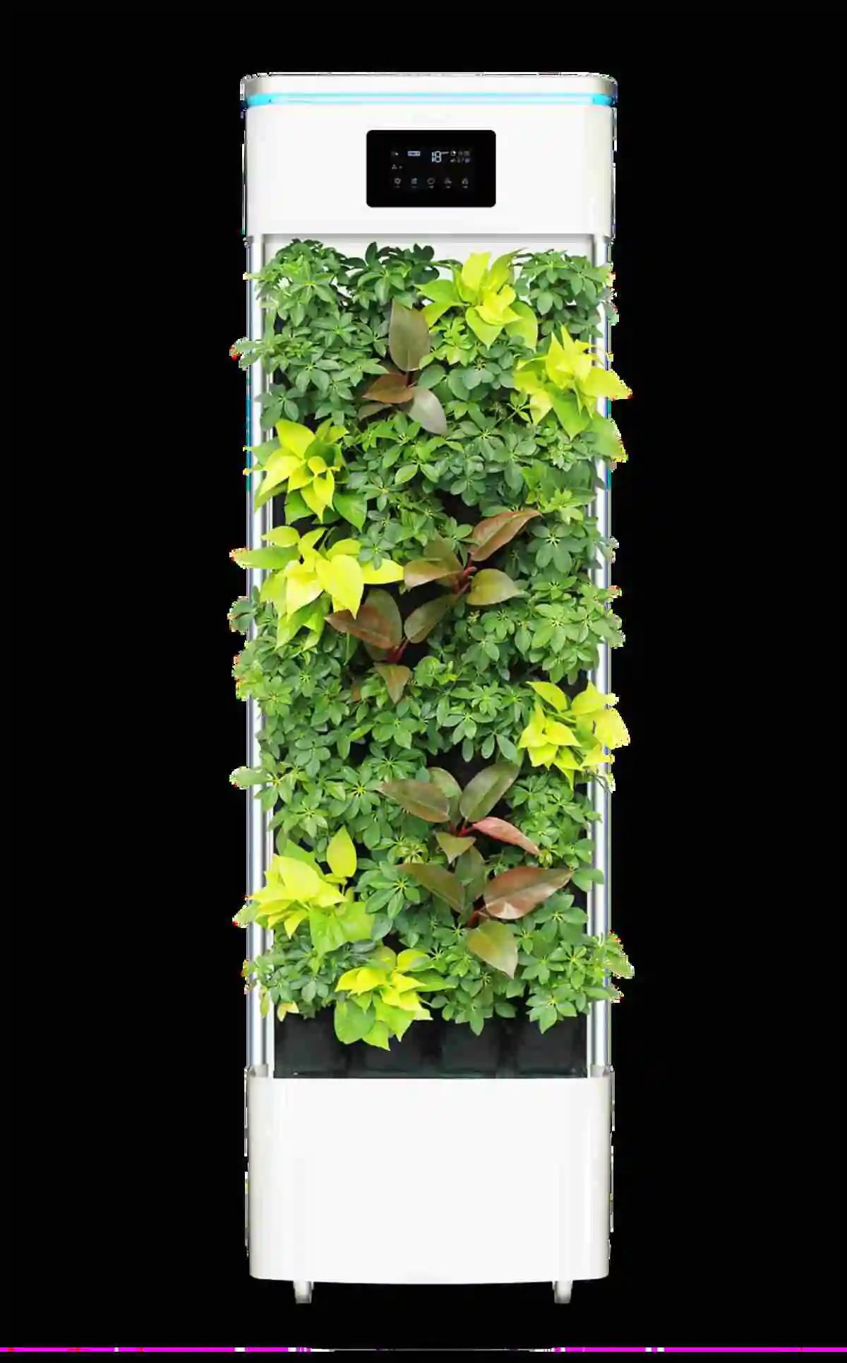 air purifier