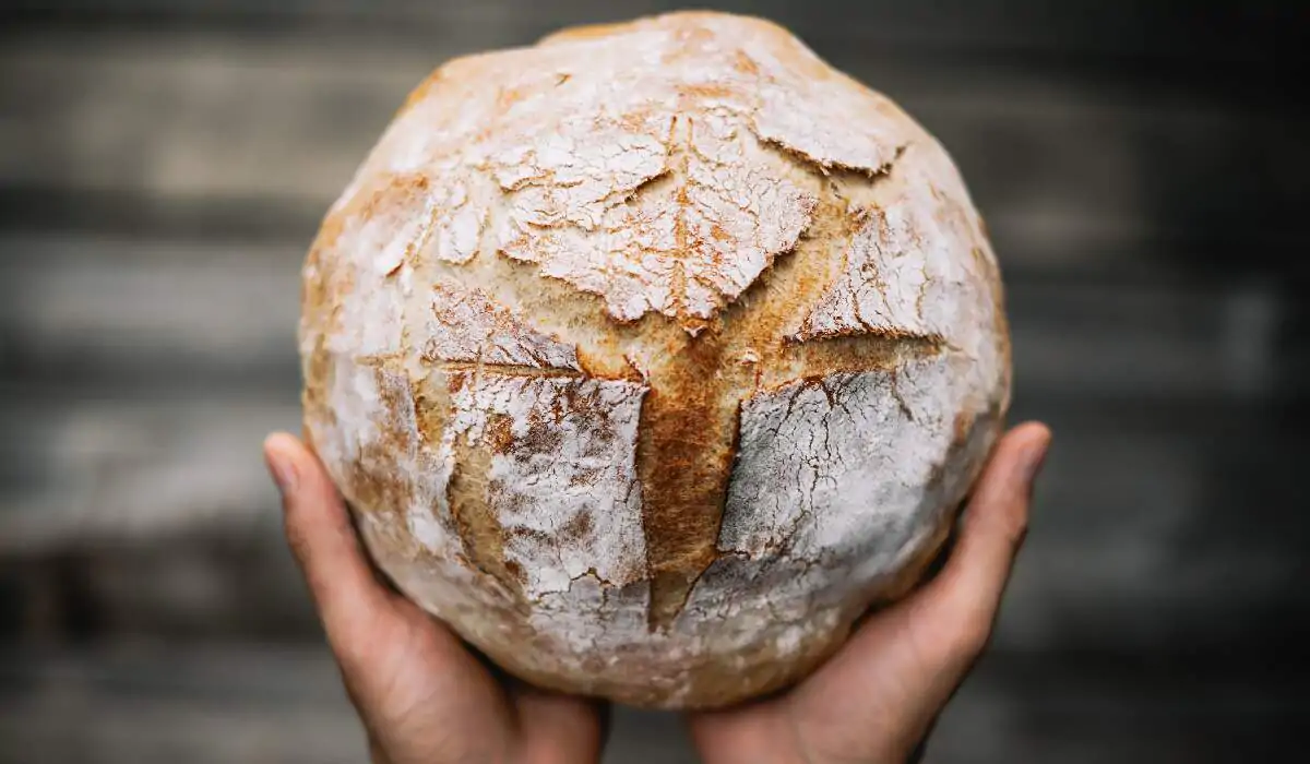 sourdough