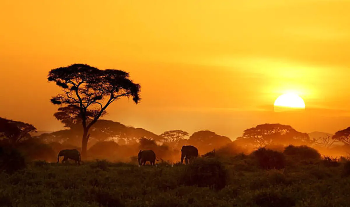 Immersive travel experiences in Kenya