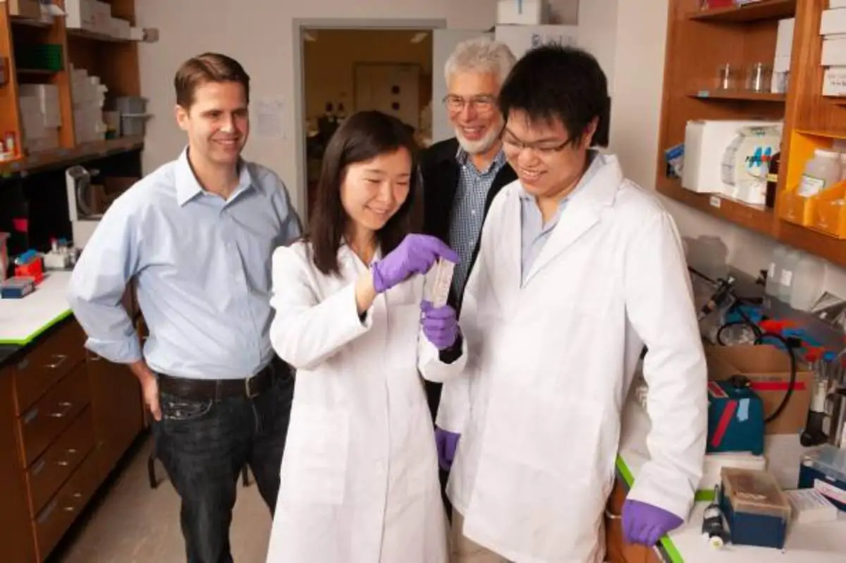 What is nanomedicine