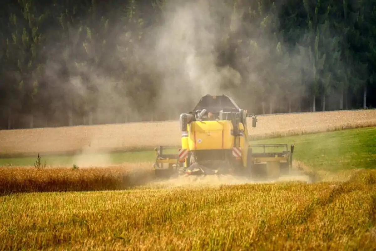 The Importance of Grain Dust Collectors in Ensuring Workplace Safety