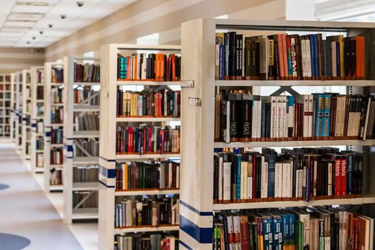 Colleen Hoover’s Best Books