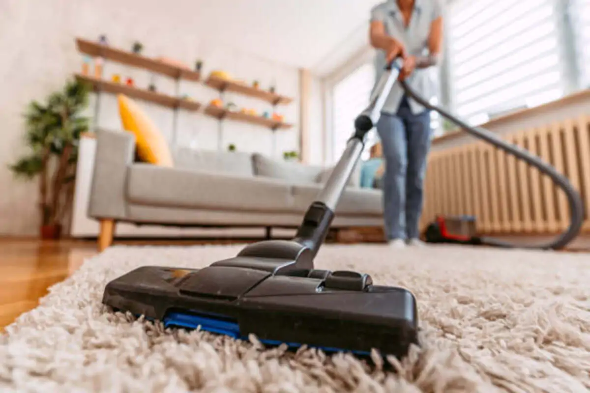 carpet cleaning lane cove