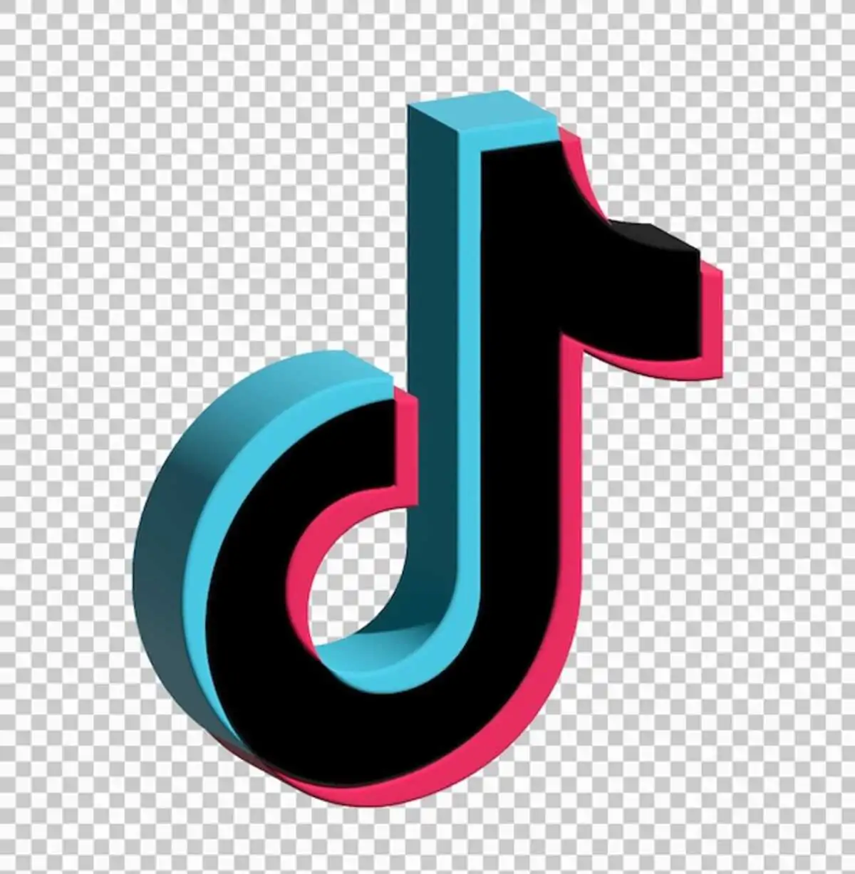 TikTok Private Video Downloader – How to Download TikTok Videos Without the Watermark