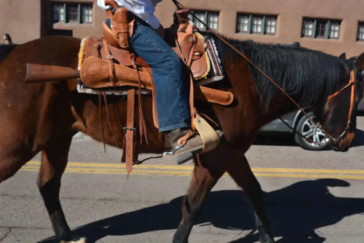 Parts of a Saddle