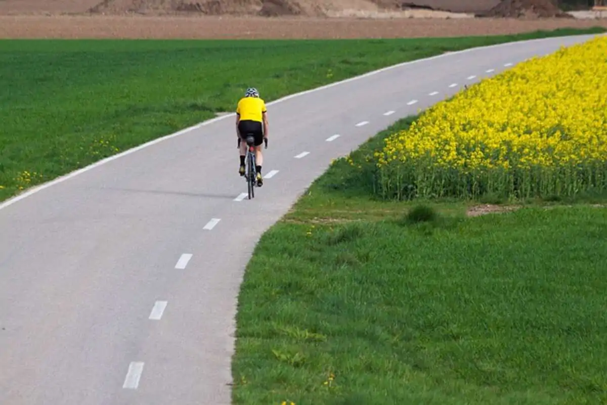 Bib Shorts