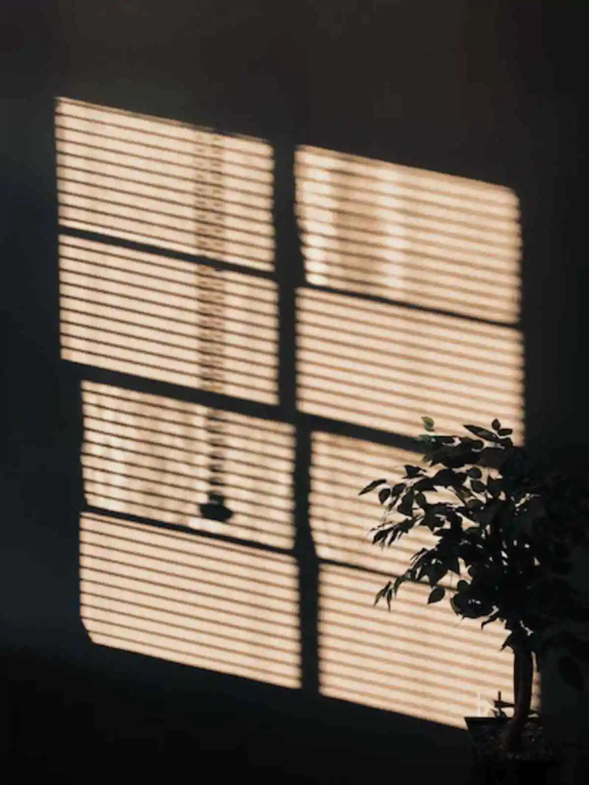 What is Vacuum glazing?