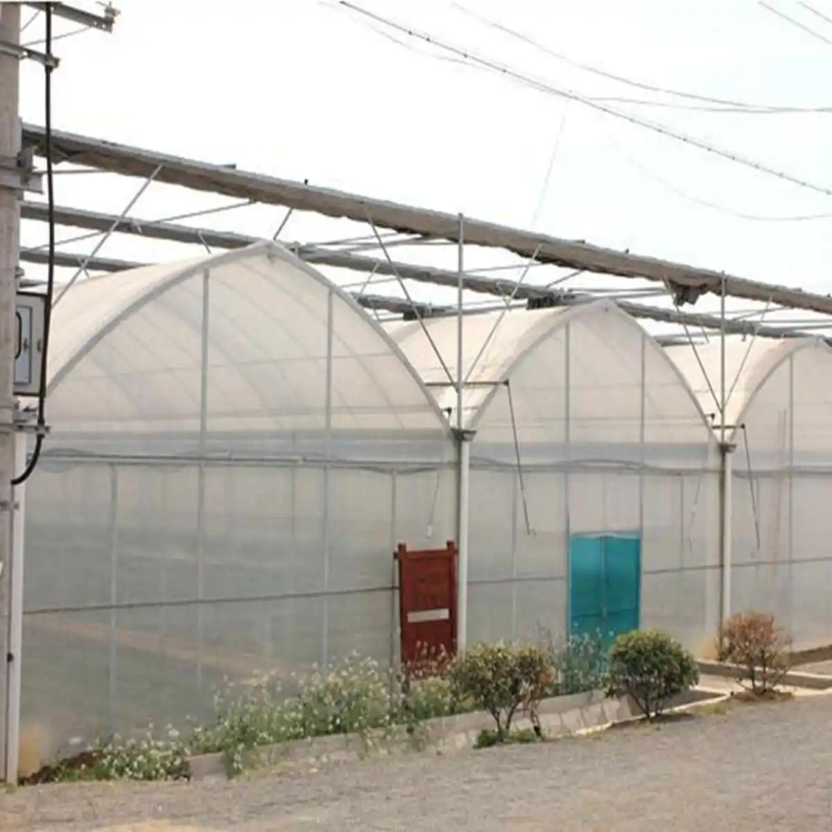 china pc greenhouse