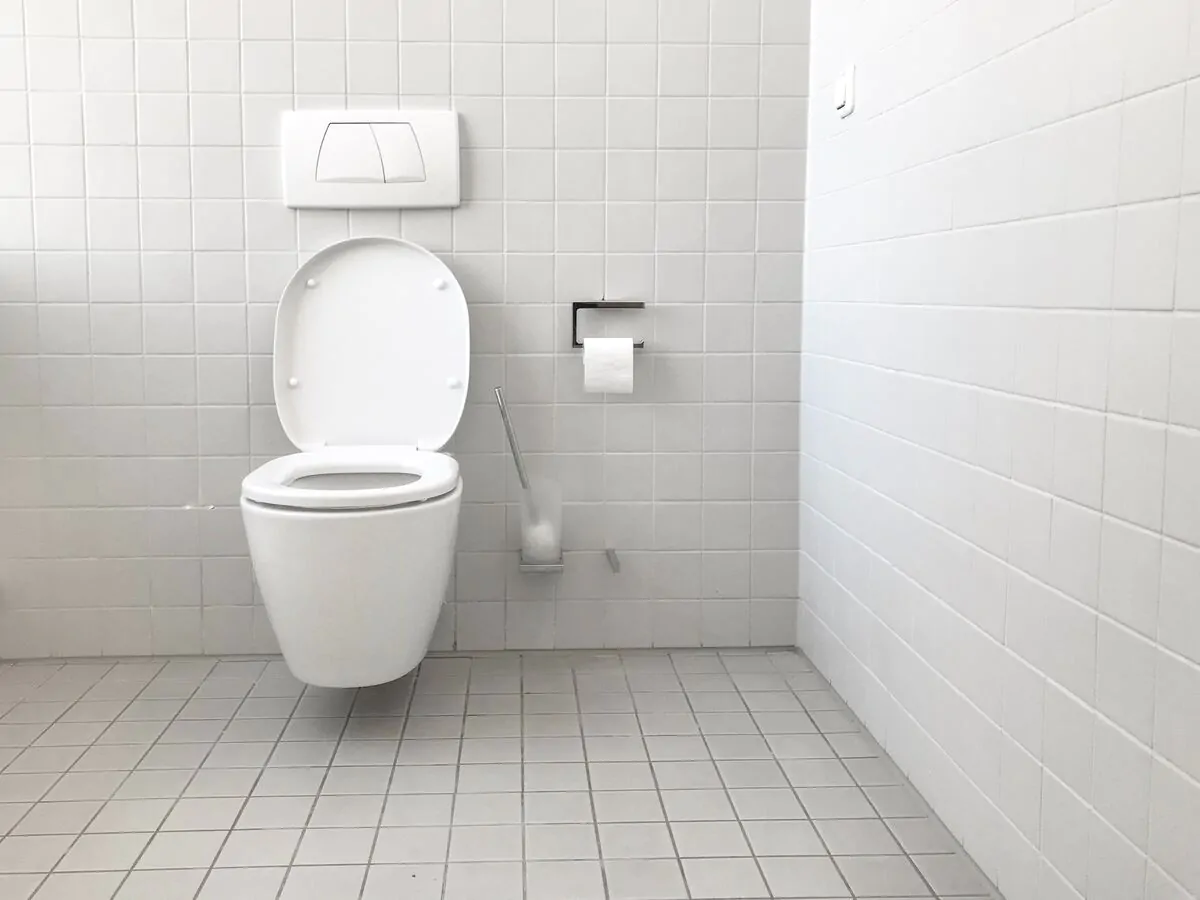 toilet flush handle